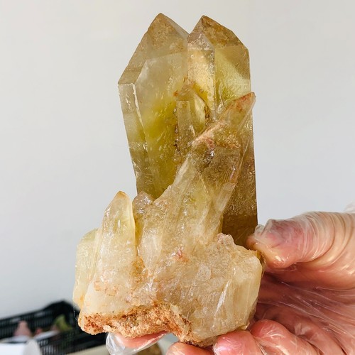 699g Natural Smokey Citrine Quartz Crystal Cluster Mineral specimen Healing F142 - Foto 6 di 15
