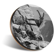 1 x Round 12cm Coaster - BW - Alpine Capricorn Ibex Steinbock #35131