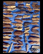 30 Piece 100 Natural Beautiful And Unique Driftwood For Crafts