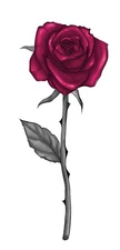 Red Rose Sticker Decal
