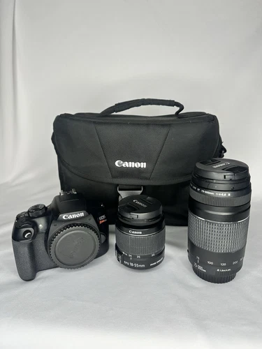 Canon Digital SLR Camera Kit [EOS Rebel T6] with EF-S 18-55mm and EF 75-300mm 