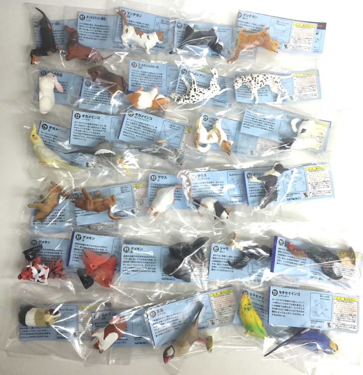 Choco Q Pet Animal Part 3 Mini Figure 30p Nomal Full Set Kaiyodo