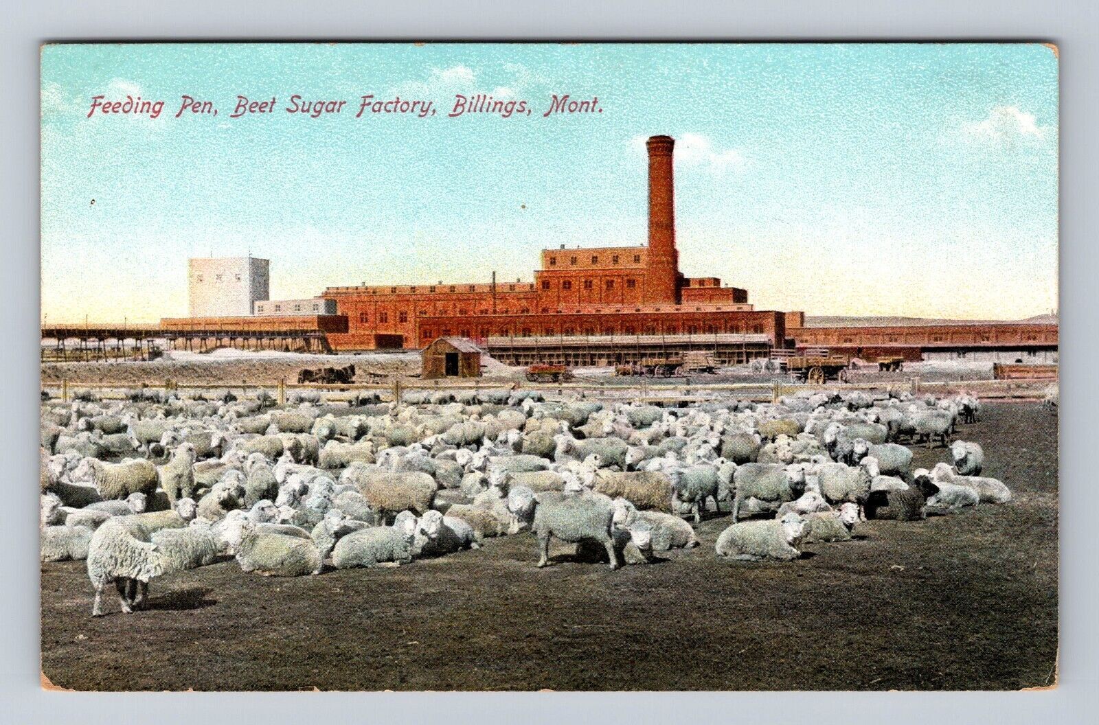 Billings MT Montana Vintage Beet Sugar Factory Feeding Pen Postcard