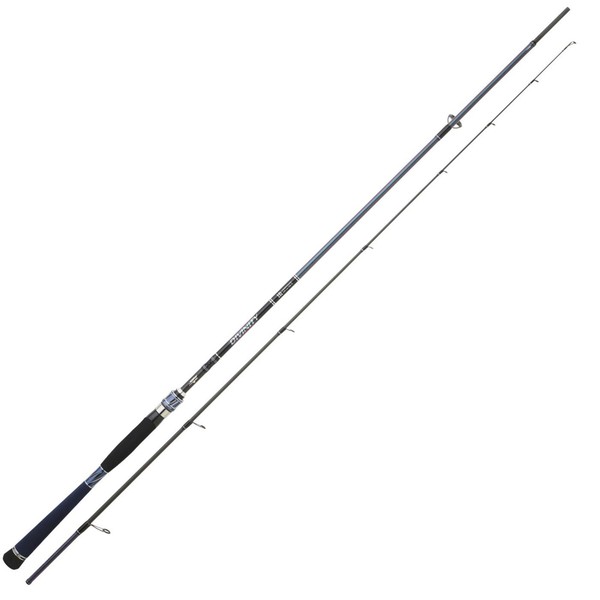 Hearty Rise 215Cm 15-60G Divinity Rute - Spinnrute FüR Hecht & Zander, Angelrute-image