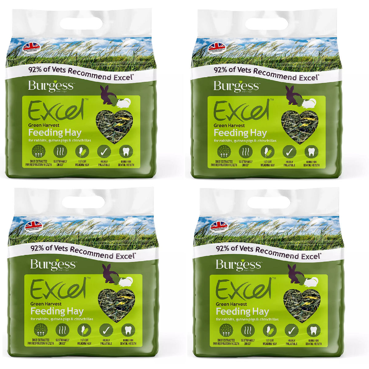EXCEL GREEN HARVEST FEEDING HAY (1kg) Burgess Animal Pet Feed bp