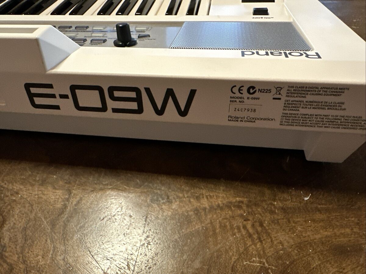 Roland E-09W Interactive Arranger Keyboard | eBay Roland E-09W Interactive Arranger Keyboard | eBay