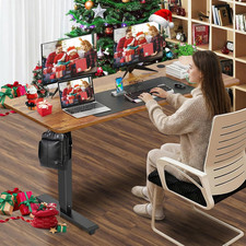 55 x 24 Inch Electric Standing Desk Home Office Height Adjustable Computer Table