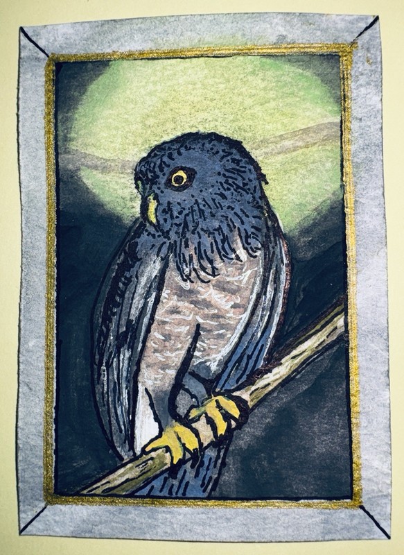 ACEO Watercolor By Heike, Boobook Owl