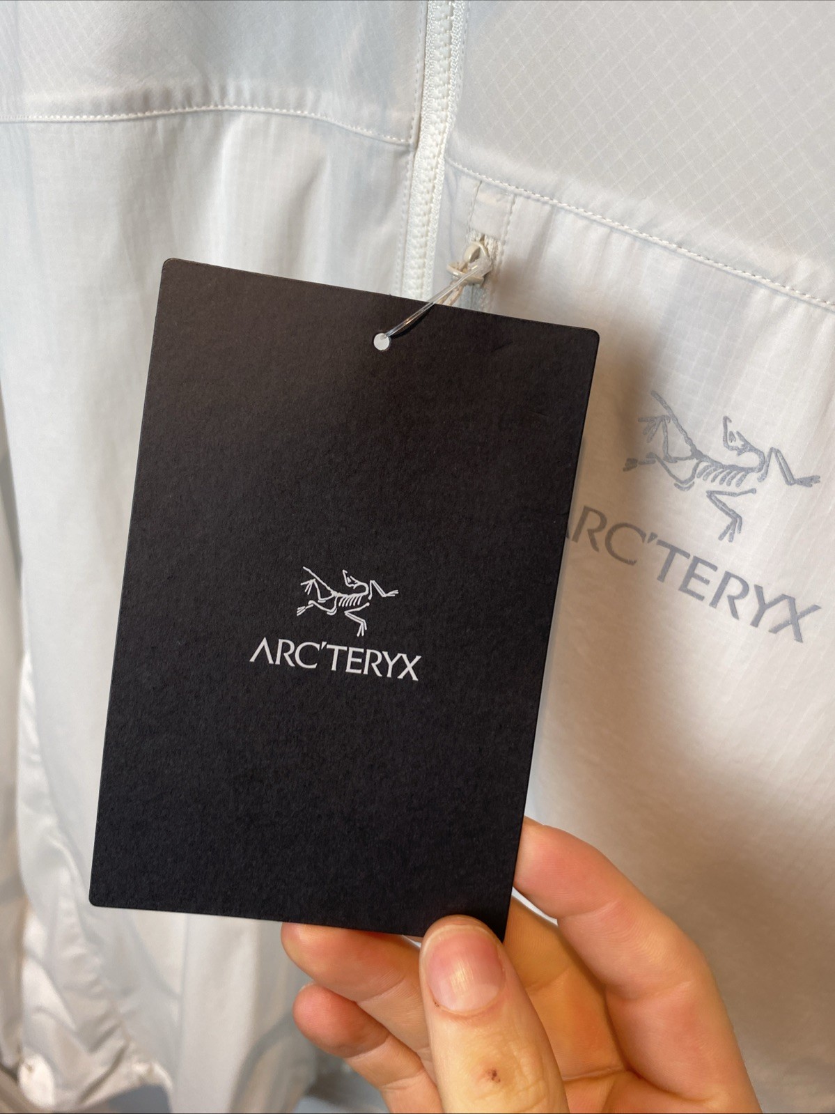 Arcteryx Squamish Hoody (L) Arctic Silk BNWT Men’s Jacket RRP £160.00 thumbnail 3
