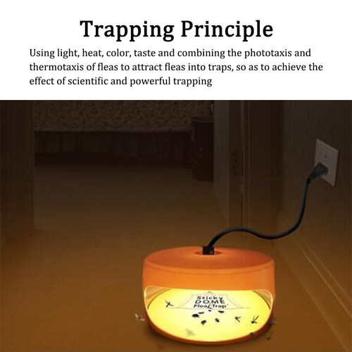 Electric Sticky Flea Cockroach Killer Trap Lamp Pest Catcher Trap Lamp Household - Picture 10 of 15