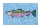 Chinook Salmon by John W. Golden Salmon Fish Print 13x19
