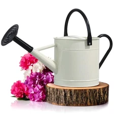 1 Gallon Metal Watering Can Outdoor, Flower Plant Gardening Garden Large Wate...