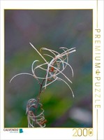 Calvendo Puzzle Willowherb | 2000 Pieces, Finished Size 35.4 × 26.4 In (90 × 67