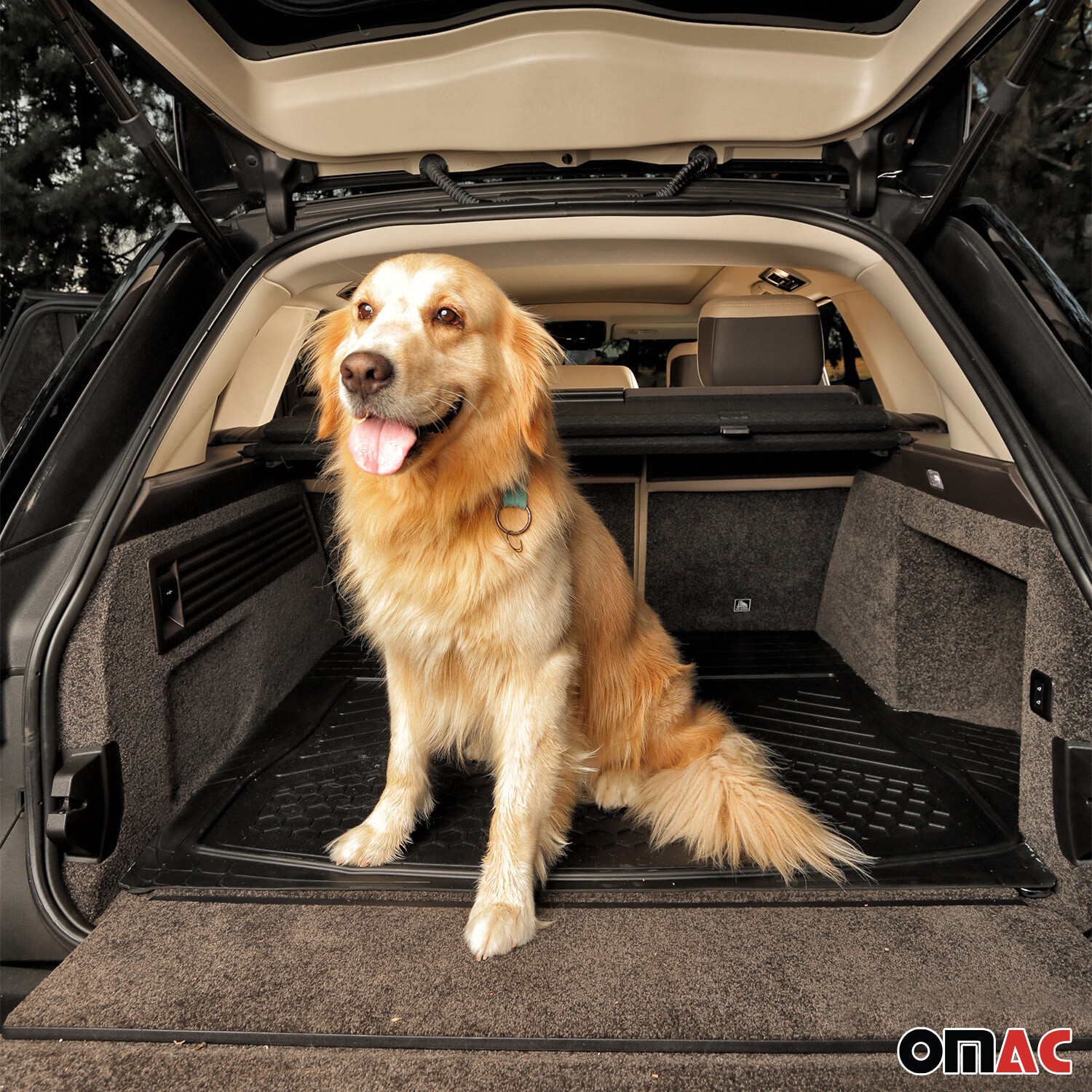 Semi-Custom fit Trunk Cargo Mats Liner Waterproof for Toyota Black 1Pc