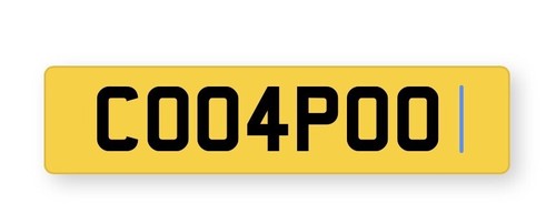 Cockapoo Cockerpoo Cherished Private Fun number plate- on retention ...