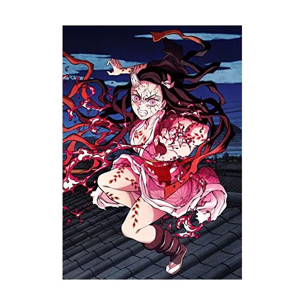 Demon Slayer Kimetsu no Yaiba Entertainment District Arc Vol.4 Blu-ray CD Ja FS