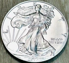2017 Walking Silver Liberty - 1 Troy Ounce - .999 Fine Silver