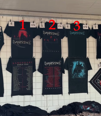 Evanescence 2026 World Tour Merch Tee, 2-sided, reprint