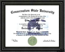 Whale Lover's Doctorate Diploma / Degree Custom made & Designed for You UNIQUE