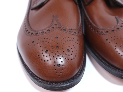 Alden Long Wing Blucher
