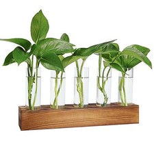 Plant Propagation Stations Terrarium Desktop Planters with 5 Glass Test Tubes