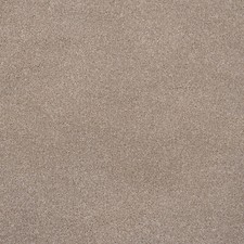 Soft Beige Twist Pile Actionback Carpet 12mm Thick Cheap Lounge Dining Room