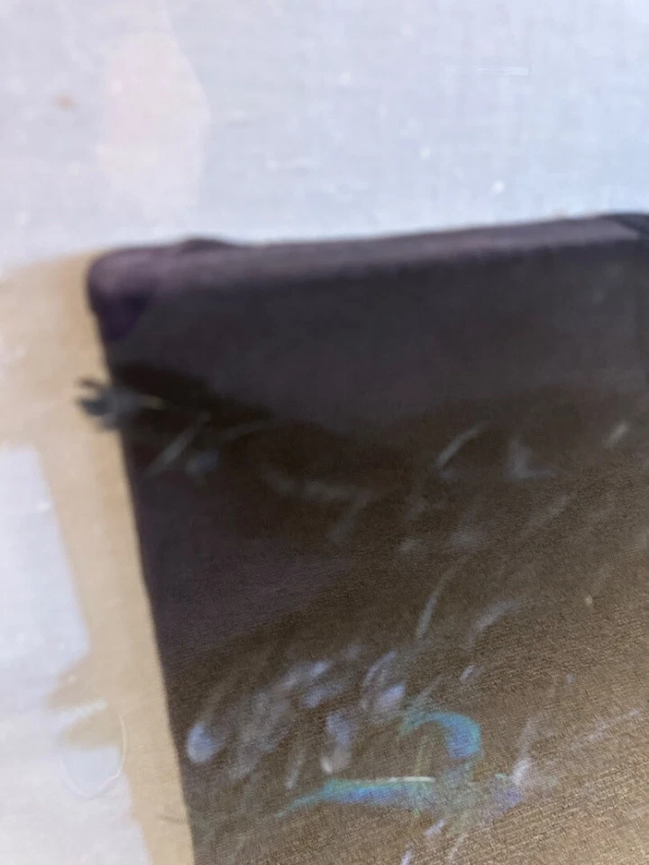 Enorme colgante de pared 3D de dos piezas plumas de pavo real reales sobre tela obras de arte Foto 4 de 4