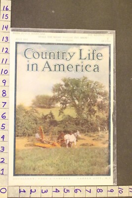 1915 AG FARM EQUESTRIAN DRAFT HORSE TEAM ANTIQUE HAY MOWER ART COVER SA99