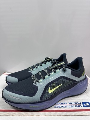 Nike Air Zoom Pegasus 41 GORE-TEX  Cannon Obsidian  FQ1356 006 Size 12