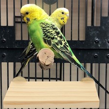Bird Perch Wood Platform Parrot Standing Wood Cage Stand for Pet Birds