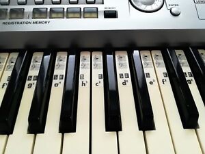 Französisch clavier, italienisch tastiera, älter auch tastatura; Klaviatur Aufkleber Noten - Piano Klavier Keyboard Musik Noten Aufkleber C-D-E-F-G-A-H ...