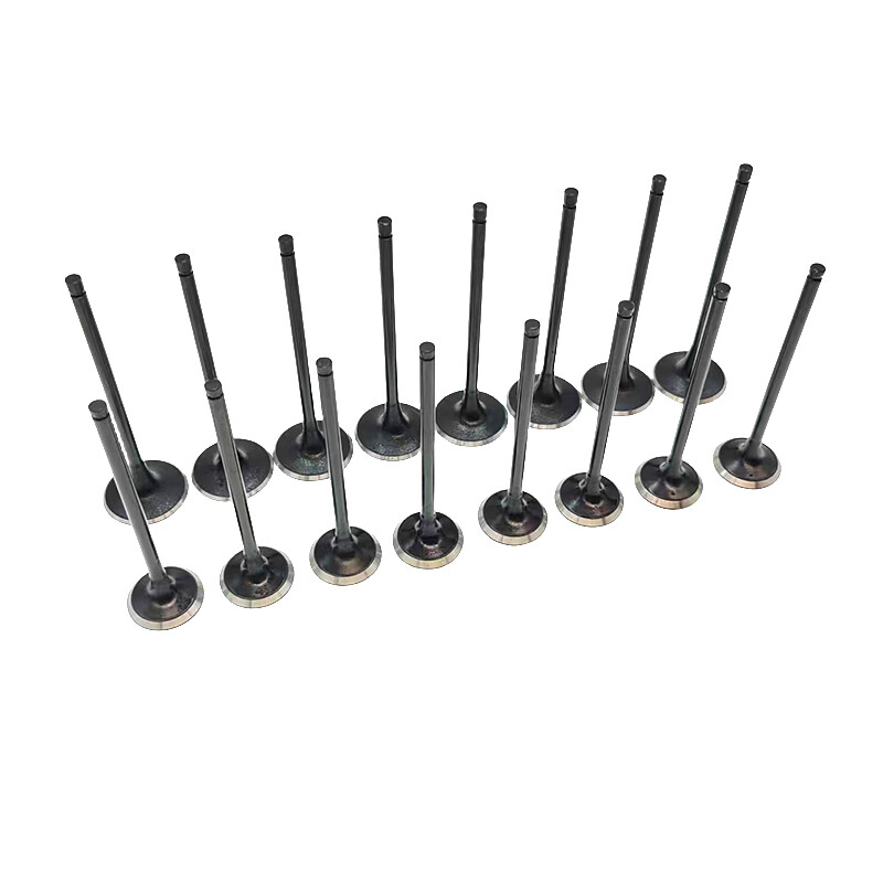 For 08-16 Hyundai Sonata Kia Optima 2.0 2.4L New Engine Intake Exhaust Valve Set