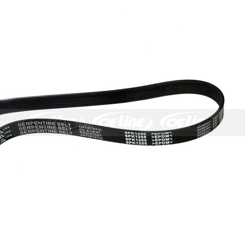 6PK1255 EPDM Serpentine Belt for 82-19 Ford Hyundai Toyota RAV4 1.6L 2.0L 2.5L - Picture 4 of 4