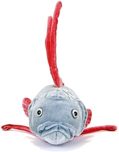 COLORATA Ryugu Notsukai Plush Deep Sea Fish 10cm x 21cm x 61cm F/S w/Tracking# - Picture 2 of 6