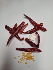 Hot CHILI de ARBOL Pepper 50 Seeds
