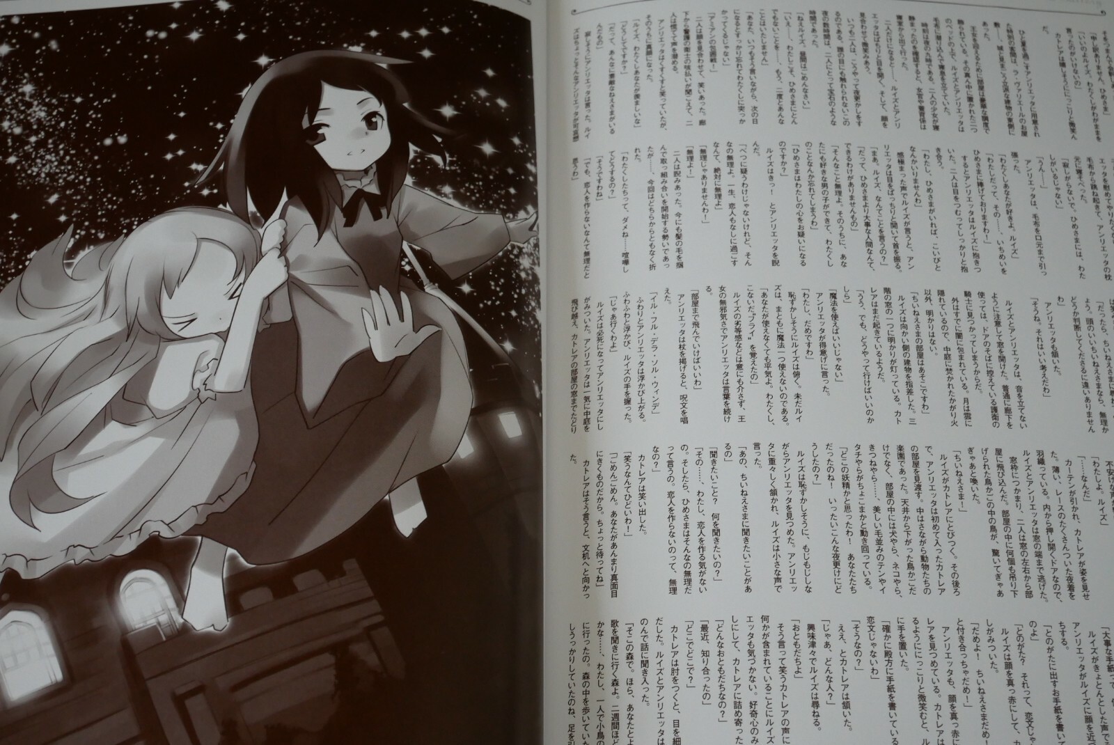 Japan Familiar Of Zero Zero No Tsukaima Complete Art Guide Book Ebay Japan Familiar Of Zero Zero No Tsukaima Complete Art Guide Book Ebay