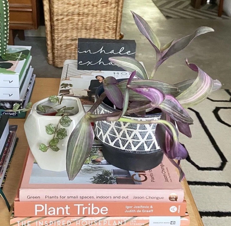 Maceta Triángulos Cerámica Gráfica Geométrica Blanco y Negro Pop of Blue Foto 2 de 4