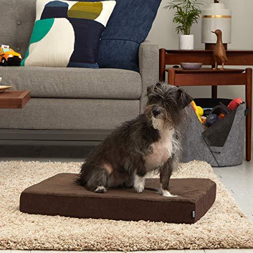 barkbox orthopedic gel memory foam dog bed