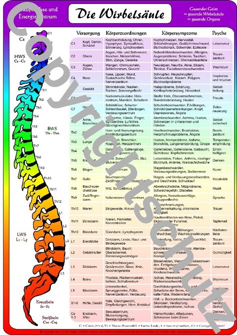 Tanja Aeckersberg Wirbelsäulenzuordnungen - A3 9783940832122