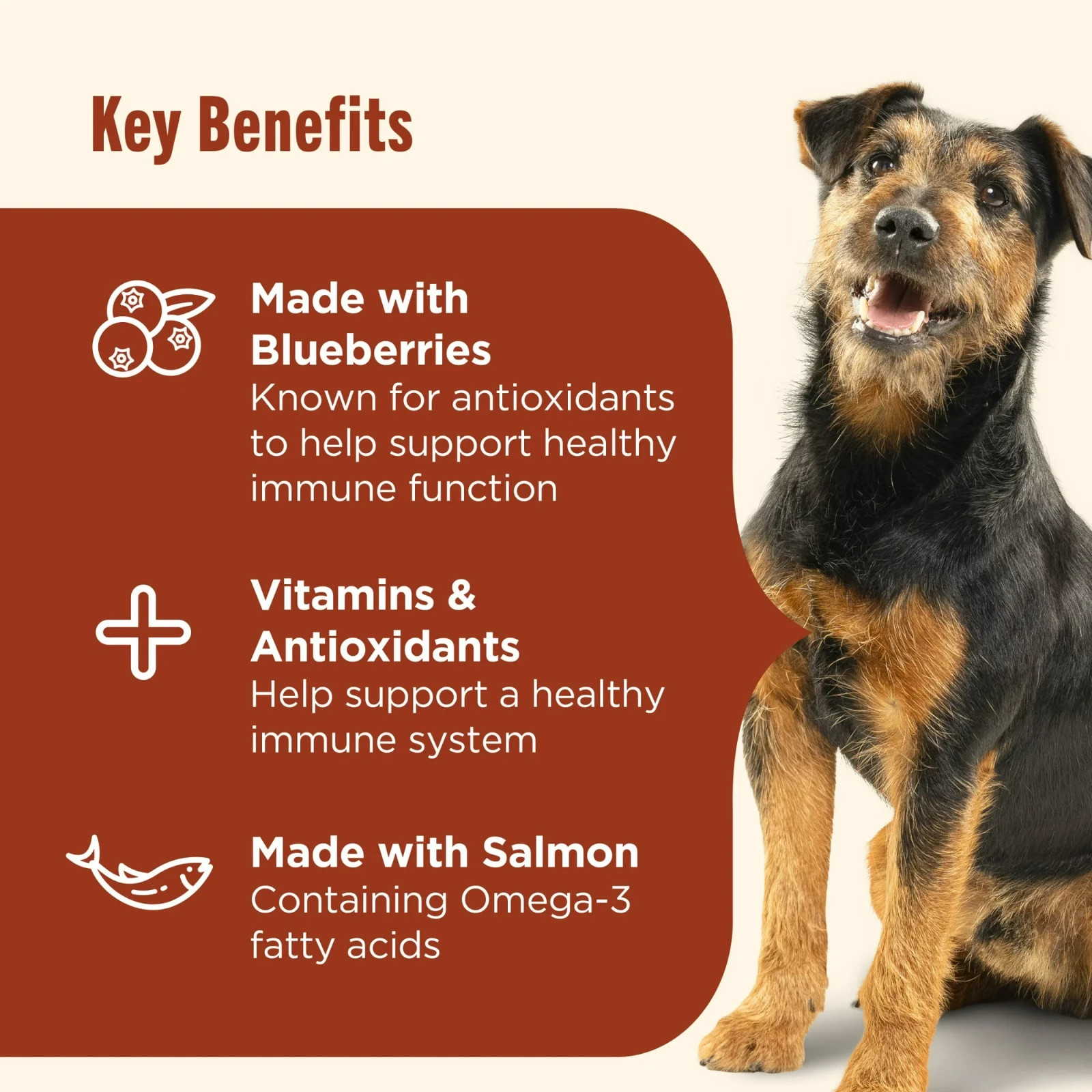 (2 pack) Nutrish Daily Immune Support Dry Dog Food with Chicken,Salmon,13 lb Bag