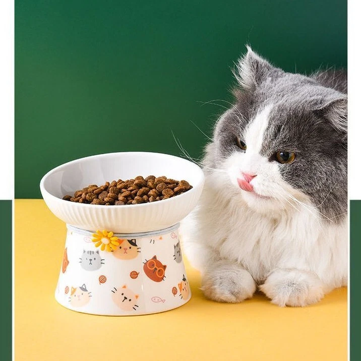 Cute cat top food bowls