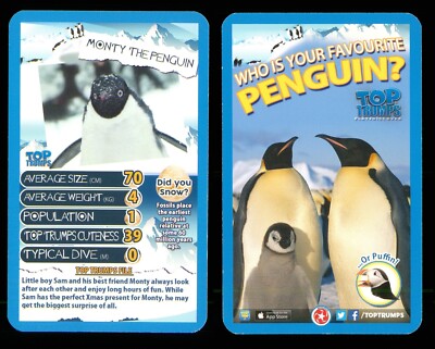 1 x Infokarte Monty 'Der Pinguin' - S81