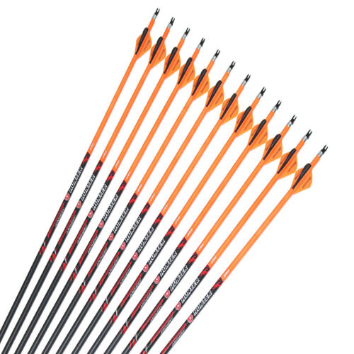 12Pcs Hunting Carbon Arrows Sp250-600 ID6.2mm Compound Traditional Bow  Archery - Afbeelding 1 van 6
