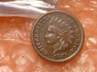 1881 Indian Head Cent Penny Has Liberty #5
