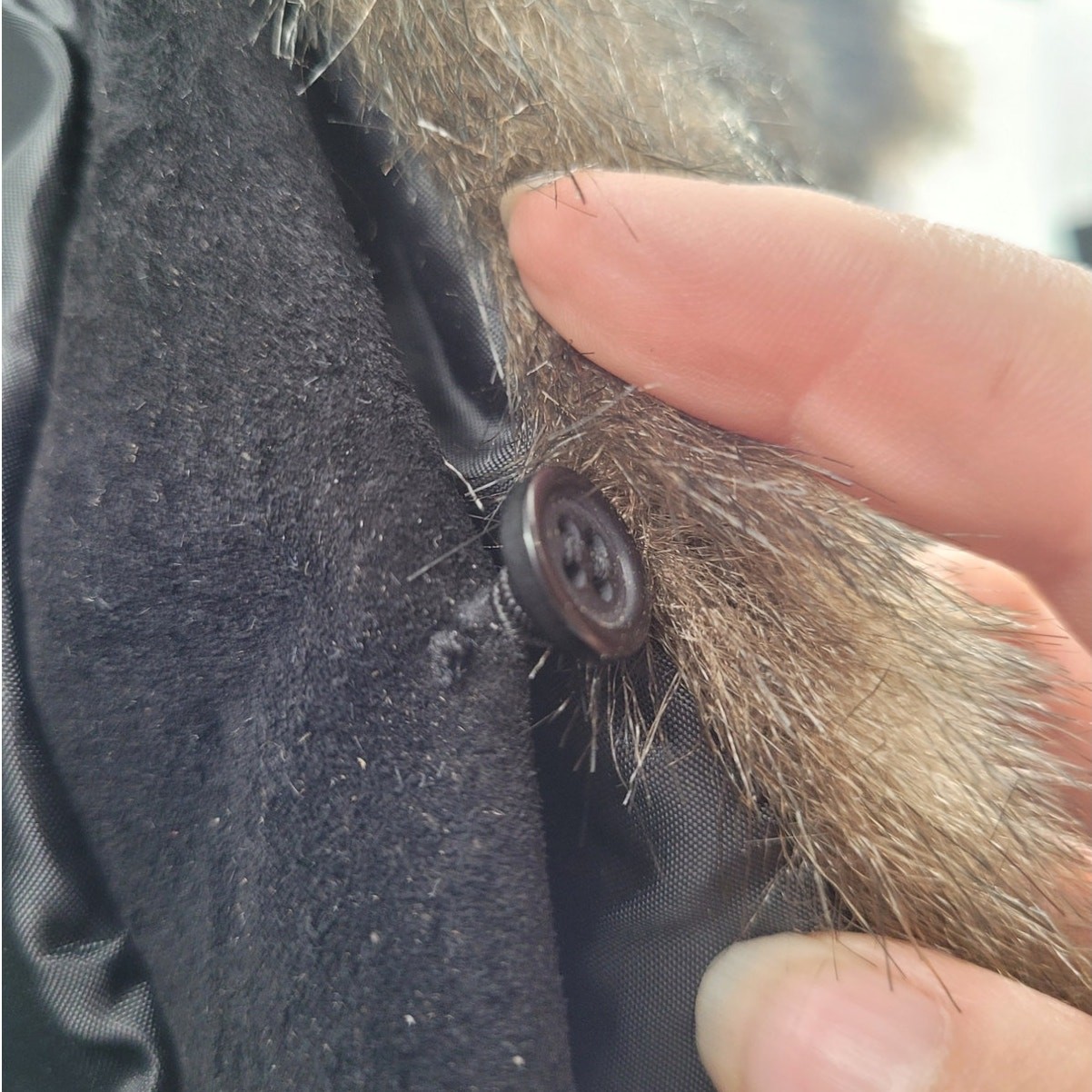 Dialogue Jacket Gift Three Button Exposed Seam Ou… - image 15