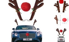 Car Reindeer Antlers  Nose - Window Roof-Top  Grille Rudolph Reindeer Brown