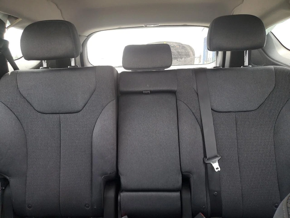 Used Rear Right Door Assembly Rear Side fits: 2020 Hyundai Santa fe electric pri - Image 3 of 4