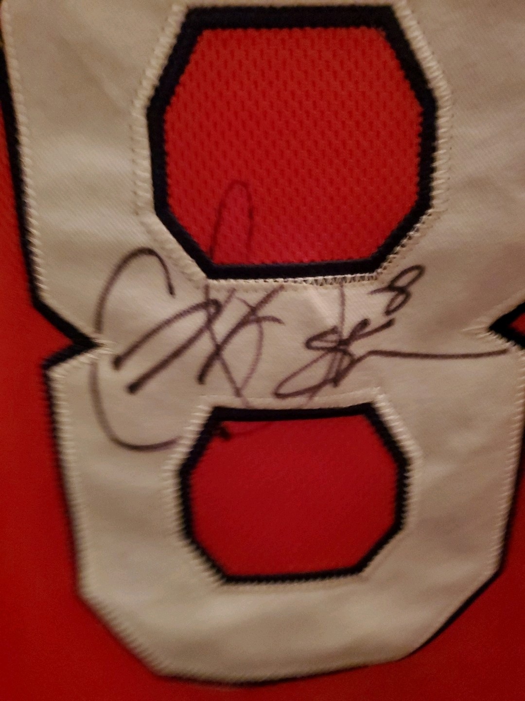 Cat Osterman  Pride Signed Jersey - image 3