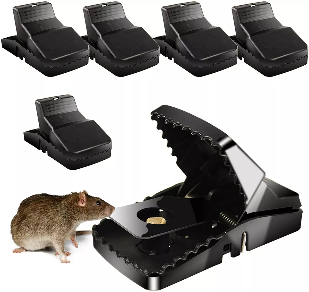 The 5 Best Mousetraps of 2024