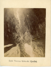 Suisse, Tamina Gorge, Ende (Source) Vintage Albumen Print, Album Print